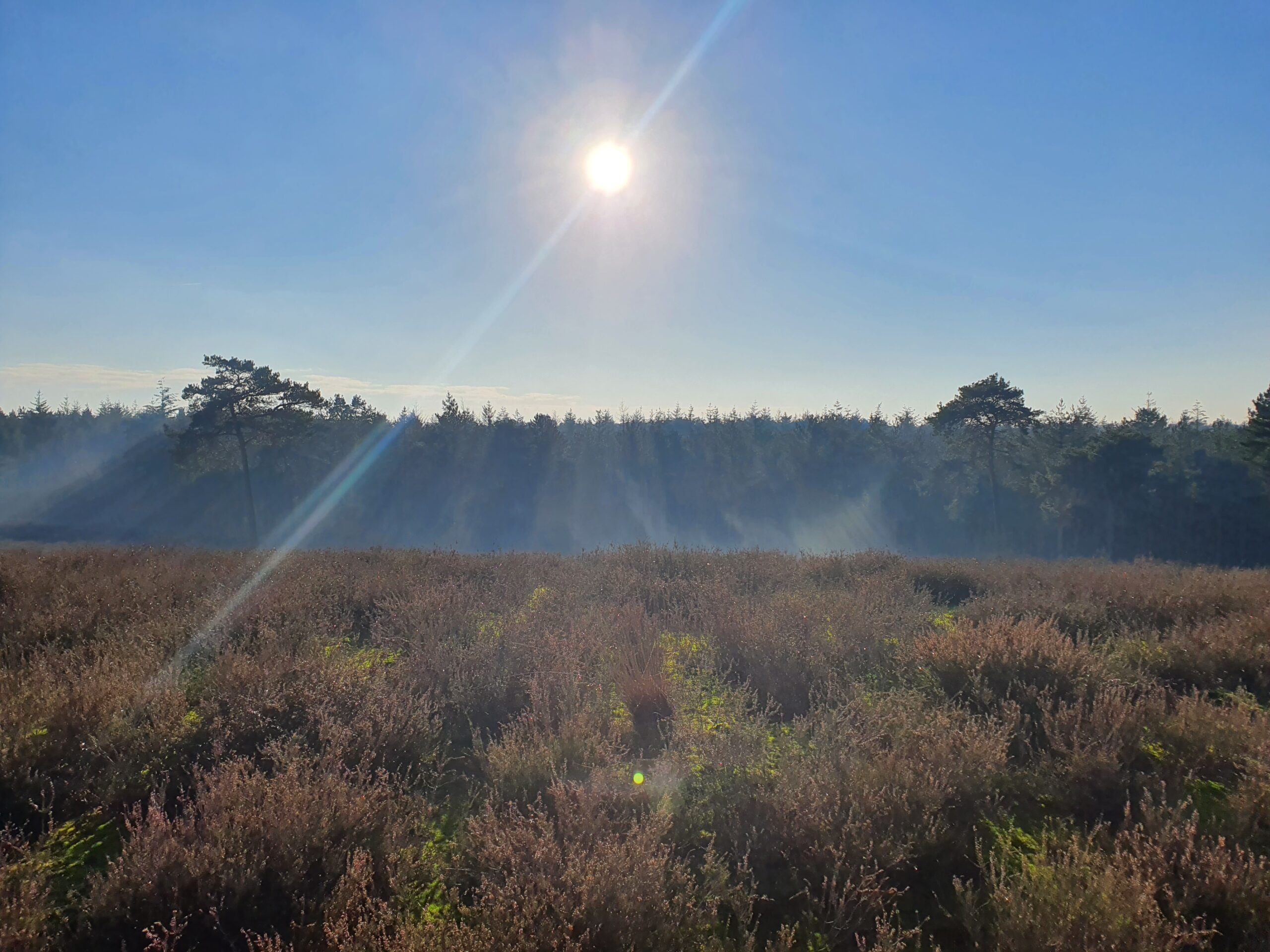 Hiking Trail Image